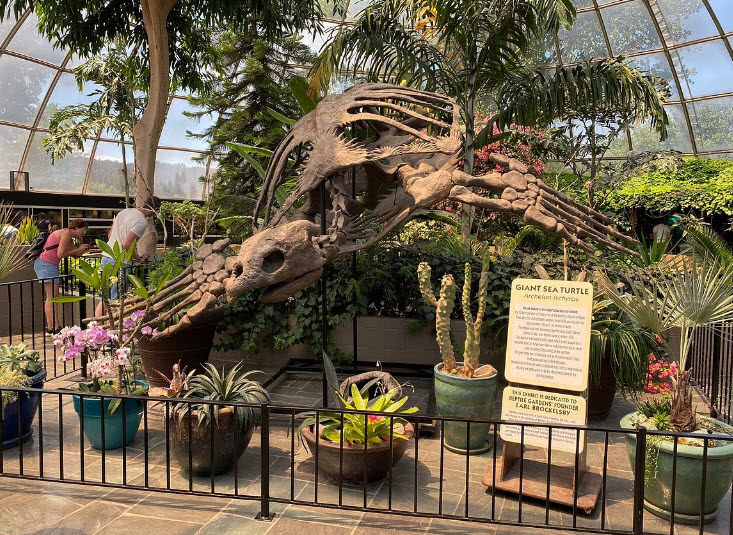 Reptile Gardens, United States
